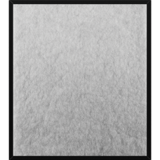 Фильтр ALLERGIST A804